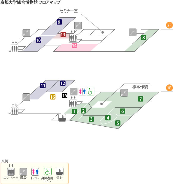 京都大学総合博物館 フロアマップ