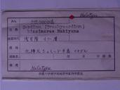 化石