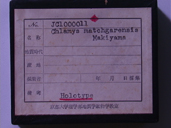化石