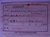 化石