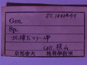 化石