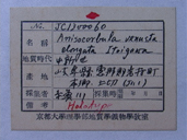 化石