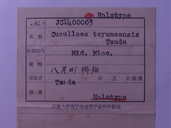 化石