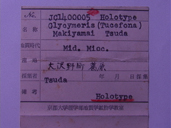 化石