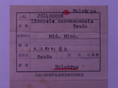 化石