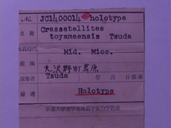 化石