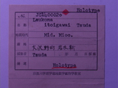 化石