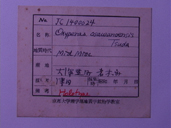 化石