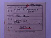 化石