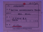 化石