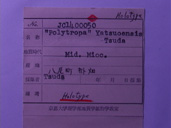 化石
