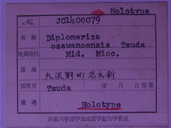 化石