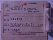 化石