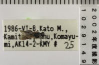 昆虫類
