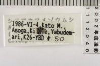 昆虫類
