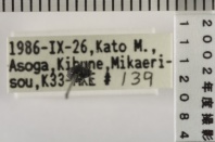 昆虫類