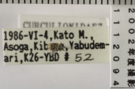 昆虫類