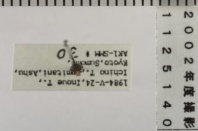 昆虫類