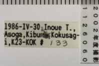 昆虫類