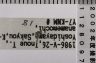 昆虫類
