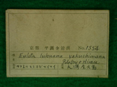 貝類