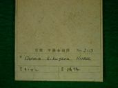 貝類