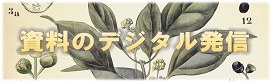 バナー　資料のデジタル発信