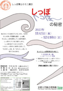 しっぽ博士のミニ展示「しっぽの秘密」チラシ