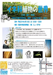 イネ科植物の世界