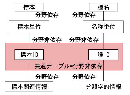 図２　KUMC型DSの概念図