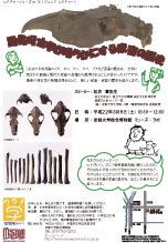 レクチャーシリーズno.76「動物考古学が明らかにする家畜の歴史」チラシ