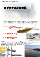 レクチャーシリーズno.85（シニアレクチャー）カゲロウと川の世界　チラシ