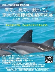 総合博物館夏休み企画「来て、見て、触って。京大の海棲哺乳類研究展」
