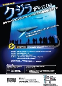 期間限定映像展示「クジラがやってくる！？-実物大のザトウクジラとミナミハンドウイルカが博物館を泳ぎます！」