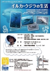 レクチャーシリーズno.118（ジュニアレクチャー）「イルカ・クジラの生活」