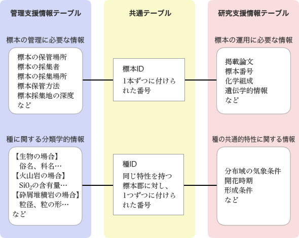 図３ KUMC型DSの運用模式図